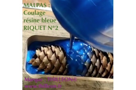 coulage_rsine_bleue_du_malpas_carre