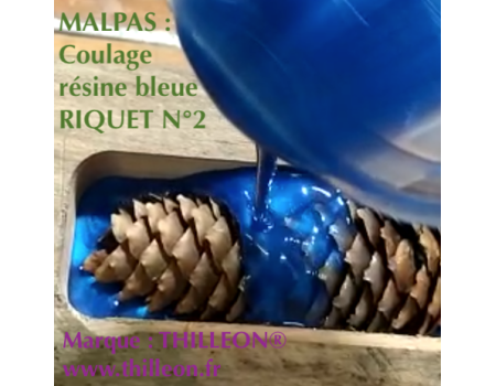 coulage_rsine_bleue_du_malpas_carre